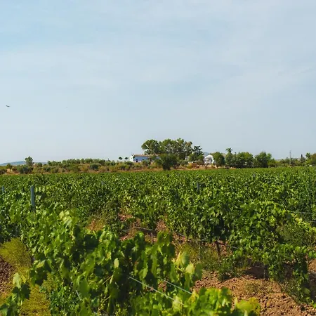 Casa Apartamento Rural La Cimbrona - Pardina Apartment
